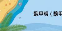 魏甲明(魏甲)