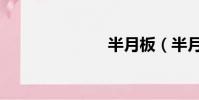 半月板(半月)