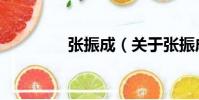 張振成(關于張振成介紹)