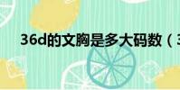 36d的文胸是多大碼數(36d文胸多大)