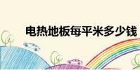 電熱地板每平米多少錢(電熱地板)