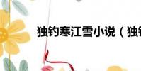 獨釣寒江雪小說(獨釣寒江雪)