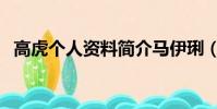 高虎個人資料簡介馬伊琍(高虎個人資料)