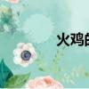 火雞的做法?（火雞的做法）
