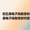 封丘縣電子商務進農村綜合示范項目專項資金管理辦法 試行（關于封丘縣電子商務進農村綜合示范項目專項資金管理辦法 試行簡介）