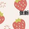 張新艷（關于張新艷介紹）