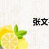 張文平（關于張文平介紹）