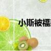 小斯被福建隊裁掉（小斯簽約福建）