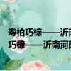 壽柏巧櫬——沂南河陽清代棺木保護修復與研究（關于壽柏巧櫬——沂南河陽清代棺木保護修復與研究簡介）