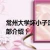 常州大學壞小子足球俱樂部（關于常州大學壞小子足球俱樂部介紹）