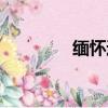 緬懷過去的詩（緬懷過去）