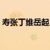 壽張丁維岳起義（關于壽張丁維岳起義簡介）