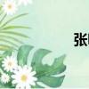 張昕（關于張昕介紹）