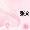 張文榮（關于張文榮介紹）