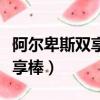 阿爾卑斯雙享棒什么時候推出的（阿爾卑斯雙享棒）