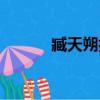 臧天朔打架斗毆事件（藏天塑）
