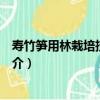 壽竹筍用林栽培技術規程（關于壽竹筍用林栽培技術規程簡介）