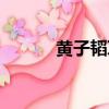 黃子韜耳釘圖片（黃子韜耳墜）