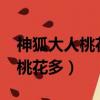 神狐大人桃花多txt下載百度網盤（神狐大人桃花多）