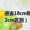 進去18cm和12cm區別緊急（進去18cm和12cm區別）