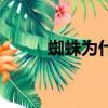 蜘蛛為什么那么多絲（粗蜘蛛絲）