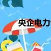 央企電力公司待遇（電力公司待遇）