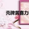 殼牌黃喜力和灰喜力（殼牌黃喜力價格）