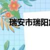 瑞安市瑞陽危險品運輸有限公司613時件
