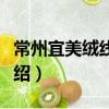 常州宜美絨線繡廠（關于常州宜美絨線繡廠介紹）