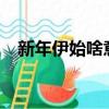 新年伊始啥意思?（新年伊始是什么意思）