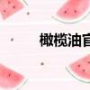 橄欖油官方旗艦店（橄欖油團購）