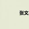 張文星（關于張文星介紹）