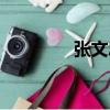 張文忠（關于張文忠介紹）