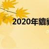 2020年貔貅開光吉日（貔貅開光吉日）