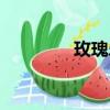 玫瑰樂園視頻（玫瑰樂園）
