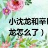 小沈龍和辛巴怎么了 怎么回事（辛巴和小沈龍怎么了）