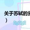關于蘇軾的資料簡介100字（關于蘇軾的資料）