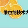 維也納技術大學計算機（維也納技術大學）