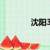 沈陽3D木門（沈陽3d木門）