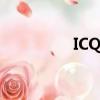 ICQ手機版（icq中文版）