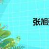 張旭強（關于張旭強介紹）