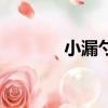 小漏勺是什么意思（小漏勺）