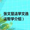 張文顯法學文選：部門法哲學（關于張文顯法學文選：部門法哲學介紹）