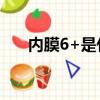 內膜6+是什么意思（6膜是什么意思）
