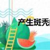 產生斑禿的原因（斑禿形成的原因）