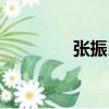 張振良（關于張振良介紹）