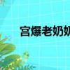 宮爆老奶奶修改器（宮爆老奶奶修改）