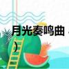 月光奏鳴曲 小提琴獨奏（月光奏鳴曲 小提琴）
