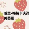 哈里·梅特卡夫詳細介紹了他的20輛汽車和16輛自行車的相關費用