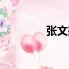 張文鑫（關于張文鑫介紹）
